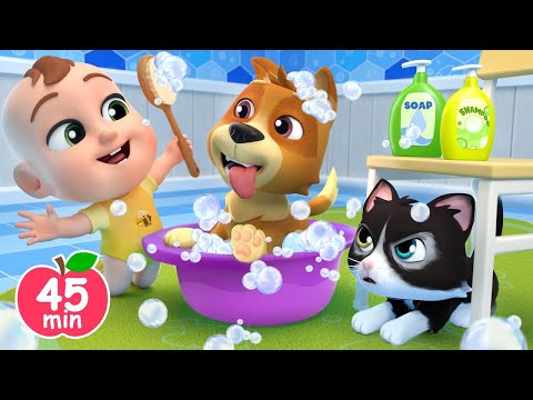 Bingo Pet Store +More Lalafun Nursery Rhymes & Kids Songs | bingo song | abc kids zone