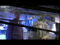 Wave Dynamics and Energy Behavior