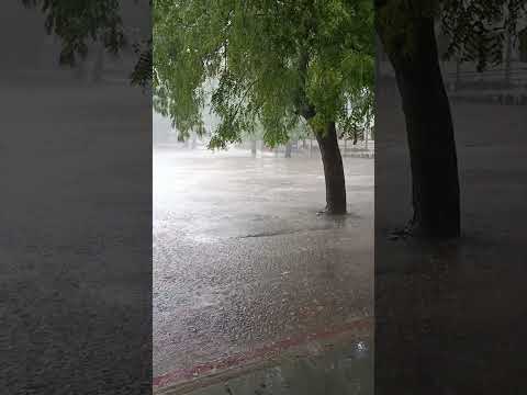 அந்தி மழை பொழிகிறது ☁☁????