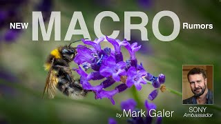 Sony Macro Lens Rumors - July 2025