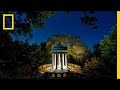 Gardens at Night: A Photographic Journey