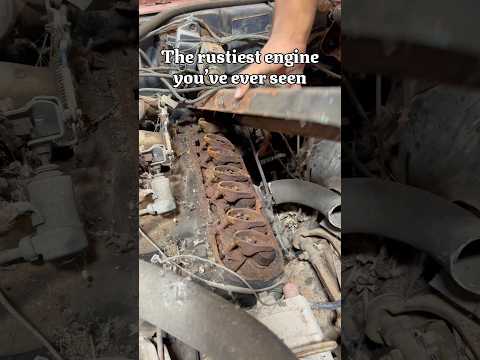Have you seen worse?? #classiccars #cars #mechanic #rust #engine #racecar #patina #barnfind