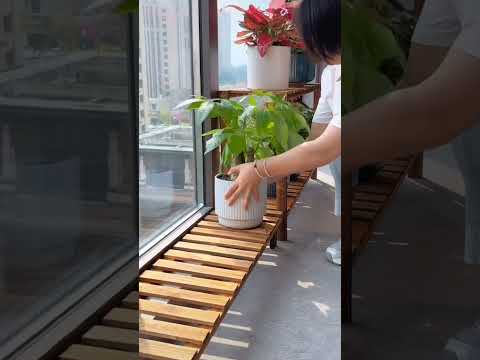 Indoor gardening setup
