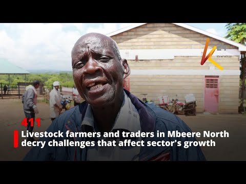 Livestock farmers and traders in Mbeere North decry challenges that affect the sector's growth