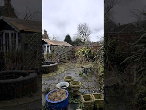 6 hour garden clean up in 60 seconds👨🏽‍🌾⚠️Flash Warning! pray for my back🙏 #satisfying #powerwashing