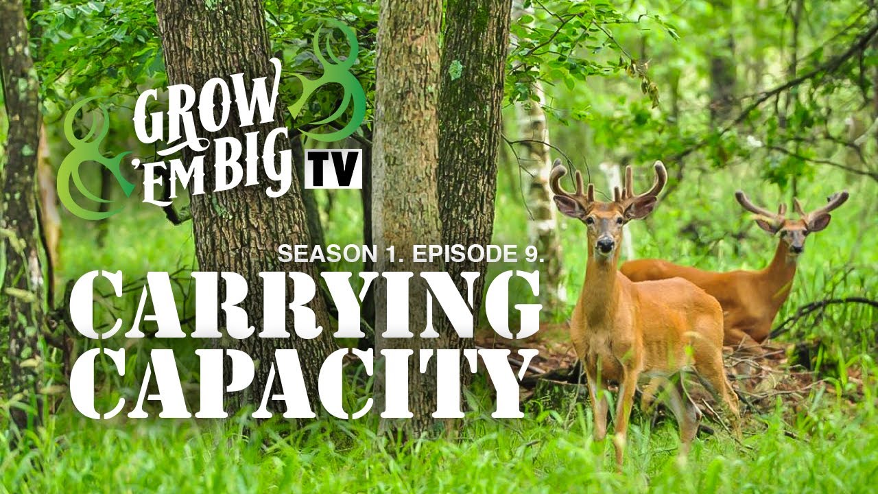Carrying Capacity | Grow ’em Big TV
