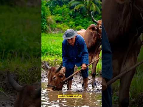 AI video কিভাবে এডি করা হয় সেই প্রচেষ্টাএই ভিডিওতে দেখানো হয়েছে পুরো ভিডিওতে দেখে যাবেন#AI #ai #ai