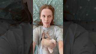 ПЁС СВОДИТ КОШЕК С УМА!😰 МЫ НАШЛИ ХОЗЯЕВ?🥺 #котики