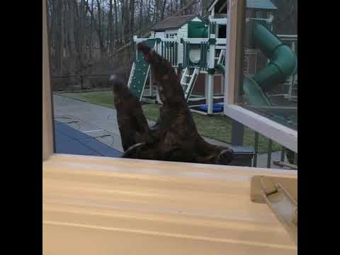 Alien Invasion (SHORT)
