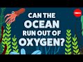 Marine Dead Zones and Eutrophication