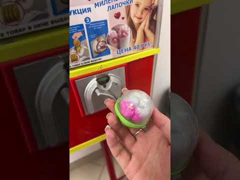Полные видео в тт:dishkafood #дишка #обзор #сквиш#лапкасквиш