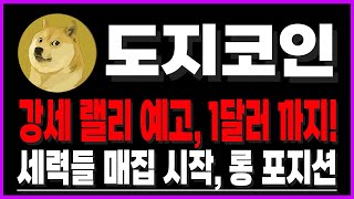 [도지코인] 강세 랠리 예고, 1달러 까지! 세력들 매집 시작, 롱 포지션