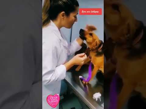 Трогательное видео, облетевшее весь Мир