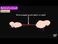 Understanding Electrical Circuits Concepts