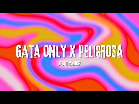 GATA ONLY X PELIGROSA (FloyyMenor) [Jr Stit Mashup]