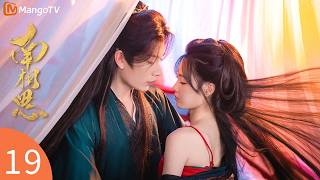 Fate Beyond Script EP19💓Girl took off her clothes and asked the prime minister to marry her! | 南相思