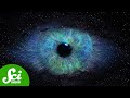 Exploring Gravitational Memory and Its Implications