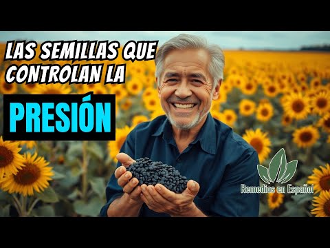 🟥 Poderosa Semilla que Baja la Presión Arterial Alta en Tiempo Récord | SEMILLAS DE GIRASOL