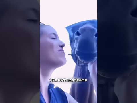 女孩养的马最近总喜欢贴着她的肚子,得知真相后令人感动