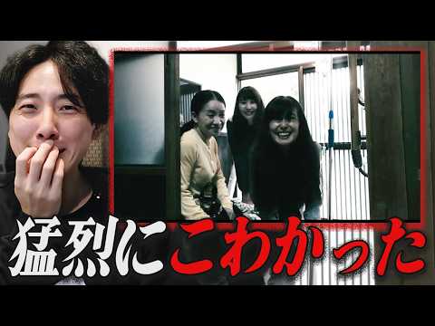 アマプラで見た"犬視点"のホラー映画がまじでビビった