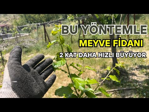 Az Su Kullan, Bol Meyve Al! Fidanlara Özel Malçlama Tekniği