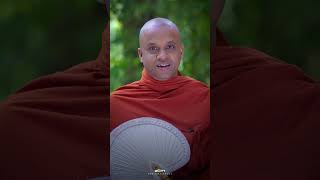 ඇසුරනම් වරද්දගන්න එපා | Shraddha TV