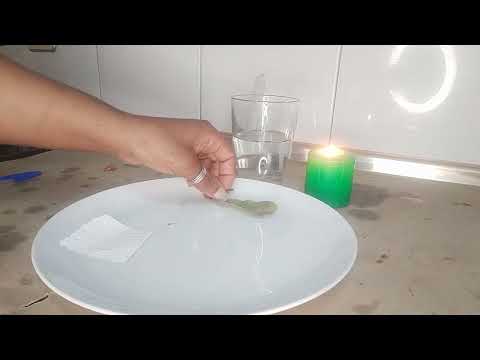 Rituel Du Premier Jour Du Mois Pour Attirer L'abondance Constante