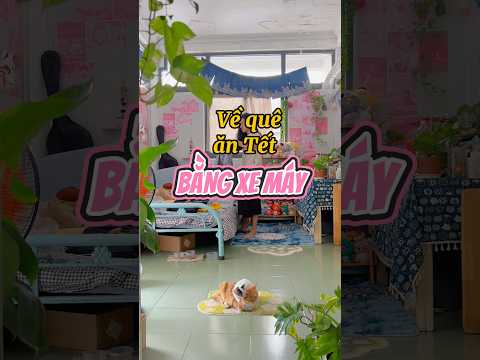 Về quê ăn Tết bằng XE MÁY | Thanh Tiger