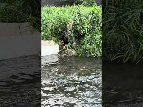 Just wait for the right time, waiting from evening to morning until he caught fish #luckyfish
