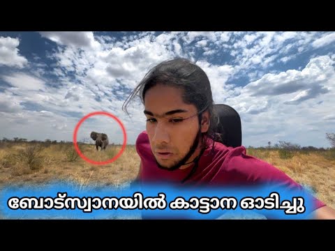 ജീവൻ കിട്ടിയത് ഭാഗ്യം | botswana elephant attacked me