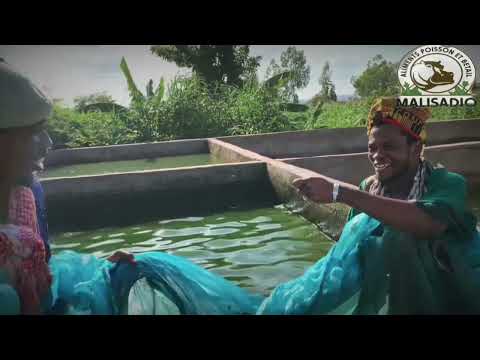 Le Fou Woroli, la pêche de Boua Ladji et Diabate chez Sidibe