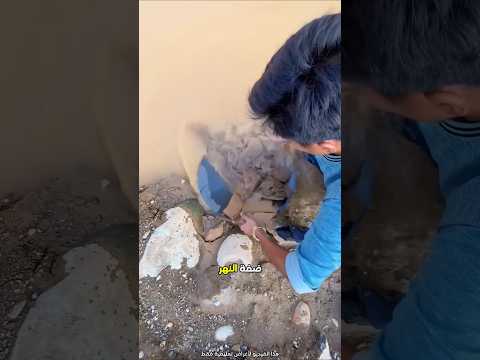 هذا الرجل يحب فحص التربة بحثا عن الذهب 😮 #shorts