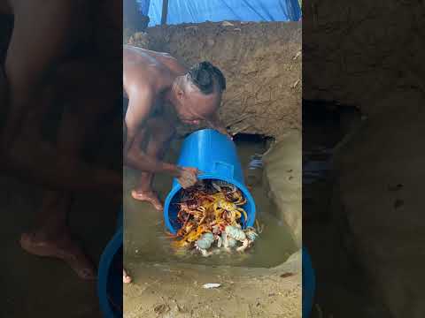 Dentro de un túnel se halla Cangrejo y no muerden ￼