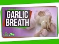 Understanding Garlic Breath