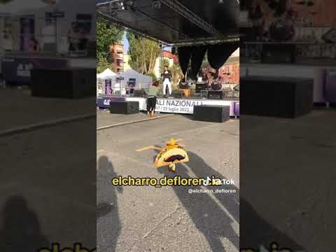  elcharro_deflorencia