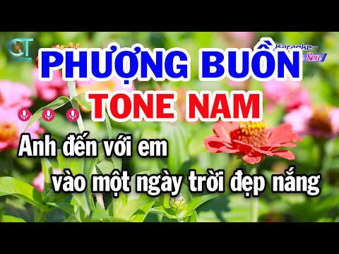 Karaoke Phượng Buồn Tone Nam ( F ) Nhạc Sống Đồng Sen