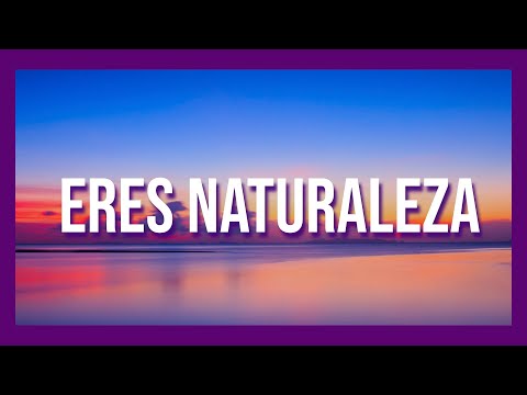 Dormir Profundo con 💚 RELAJACIÓN NATURAL 💚