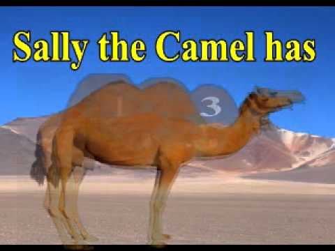 Sally The Camel - Anon Arr.P.M.Adamson