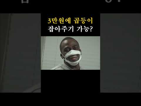 [꿀알바] 곱등이 대신 잡아드립니다 #shorts #조나단 #알바