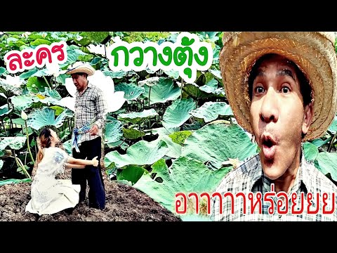 EP 179 . โชเล่ย์..กวางตุ้ง-คุณท่าน มอบทุกท่านมีความสุข #หยุดเชื้อเพื่อชาติ #เราต้องผ่านไปด้วยกัน