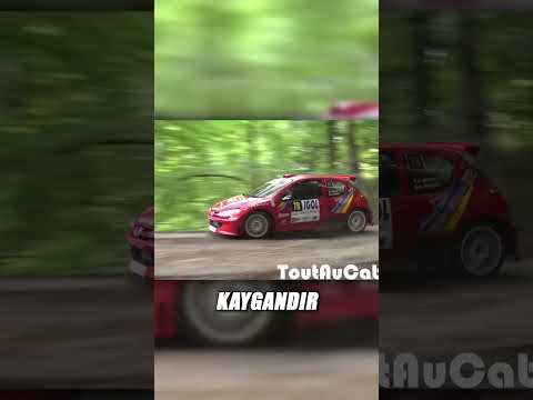 Neden Ralli Pilotları Yanlar? #drift #rally