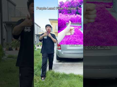 튜토리얼 🍇