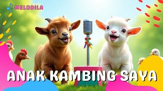🐑 Lagu Anak Kambing Saya - Lagu Anak Indonesia Populer - Caca Marica Hey Hey