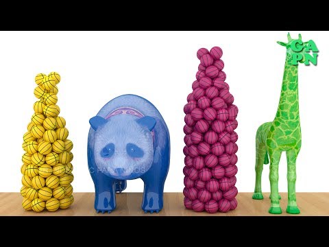 Aprende los colores con las bolas y 3D Botella | Aprender nombres de animales | Animación 3D