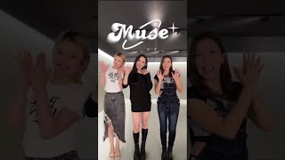 12/8 ワンマンライブ決定しました❤️‍🔥‼️