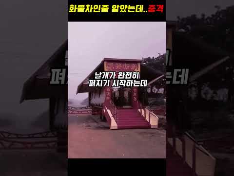 평범한 화물차인줄 알았는데...대반전