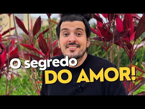 Qual é o SEGREDO do AMOR?