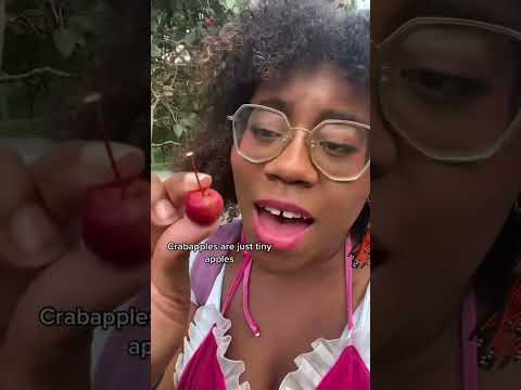 The TRUTH About Crabbapples!