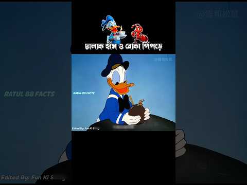 চালাক হাস ও বোকা পিঁপড়ে #3danimation #cartoon