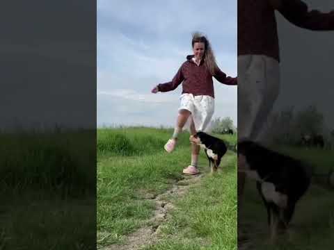Ой девочки такая я счастливая теперь #garden #gardenlife #дача #огород #shorts